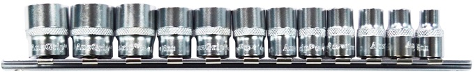 AUZGRIP - 12 PC 3/8'' SQ. DR.12PT. SOCKET SET 